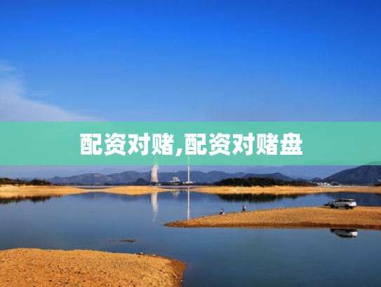 配资对赌,配资对赌盘
