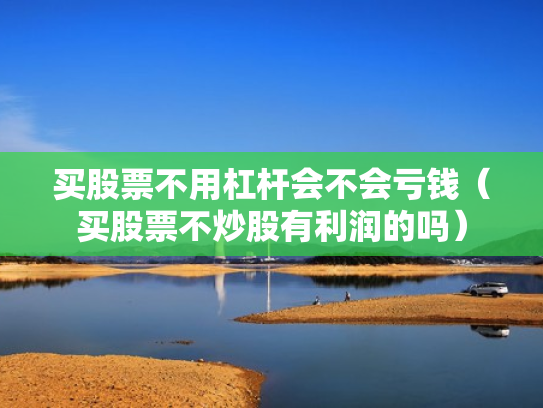 买股票不用杠杆会不会亏钱（买股票不炒股有利润的吗）