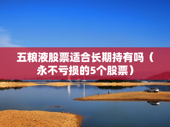 五粮液股票适合长期持有吗（永不亏损的5个股票）