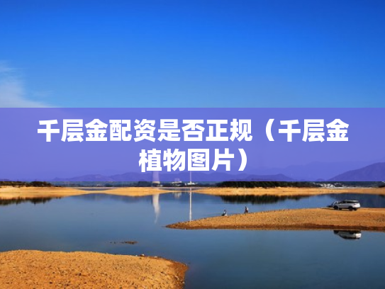 千层金配资是否正规（千层金植物图片）