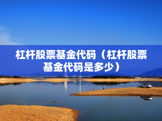 杠杆股票基金代码（杠杆股票基金代码是多少）
