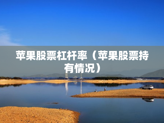 苹果股票杠杆率（苹果股票持有情况）