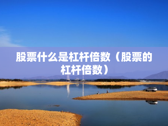股票什么是杠杆倍数（股票的杠杆倍数）