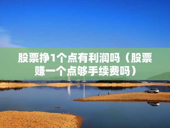 股票挣1个点有利润吗（股票赚一个点够手续费吗）