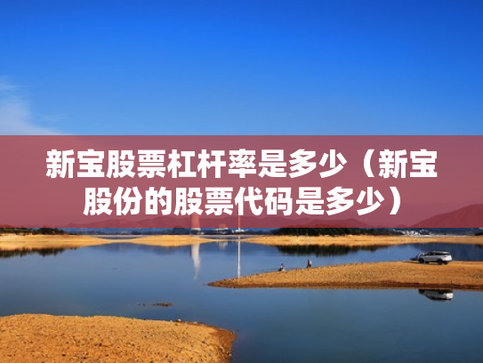新宝股票杠杆率是多少（新宝股份的股票代码是多少）