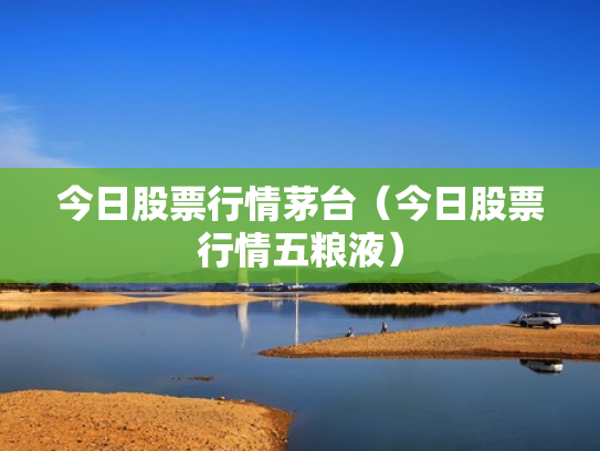今日股票行情茅台（今日股票行情五粮液）