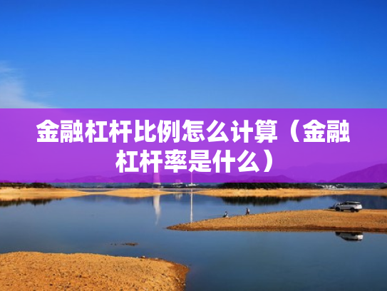 金融杠杆比例怎么计算（金融杠杆率是什么）
